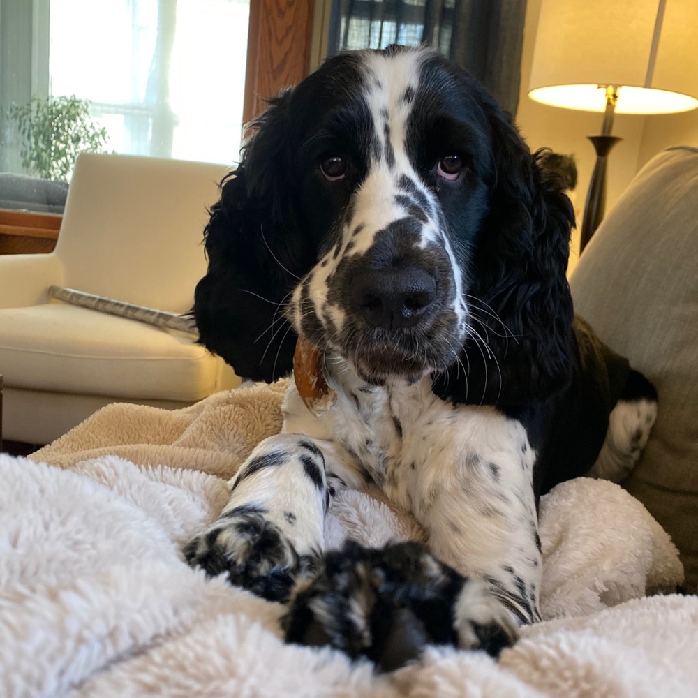 Meet your Posher, Savannah